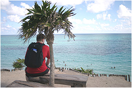 nick sitting by a mini palm tree, in front of the super fake-looking caribbean